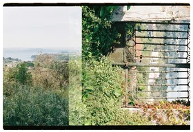 Frame 1