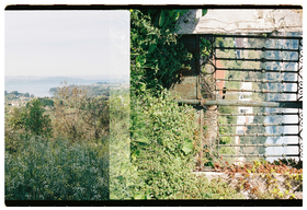 Frame 1