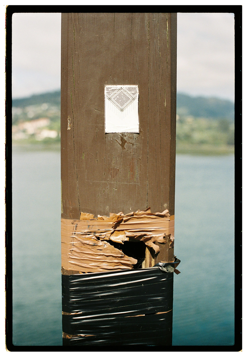 Roll Dump 48 — frame 5