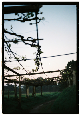 Frame 12
