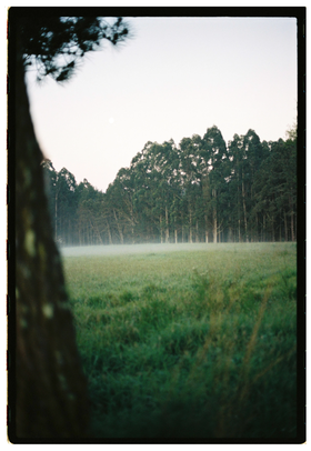 Frame 13