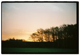 Frame 29
