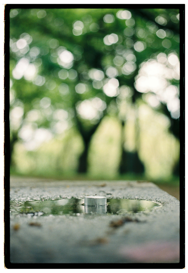 Roll Dump 49 — frame 10