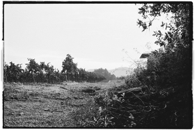 Frame 6