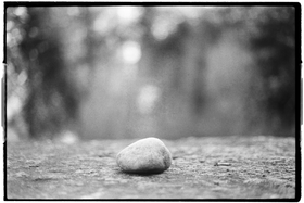 Frame 8