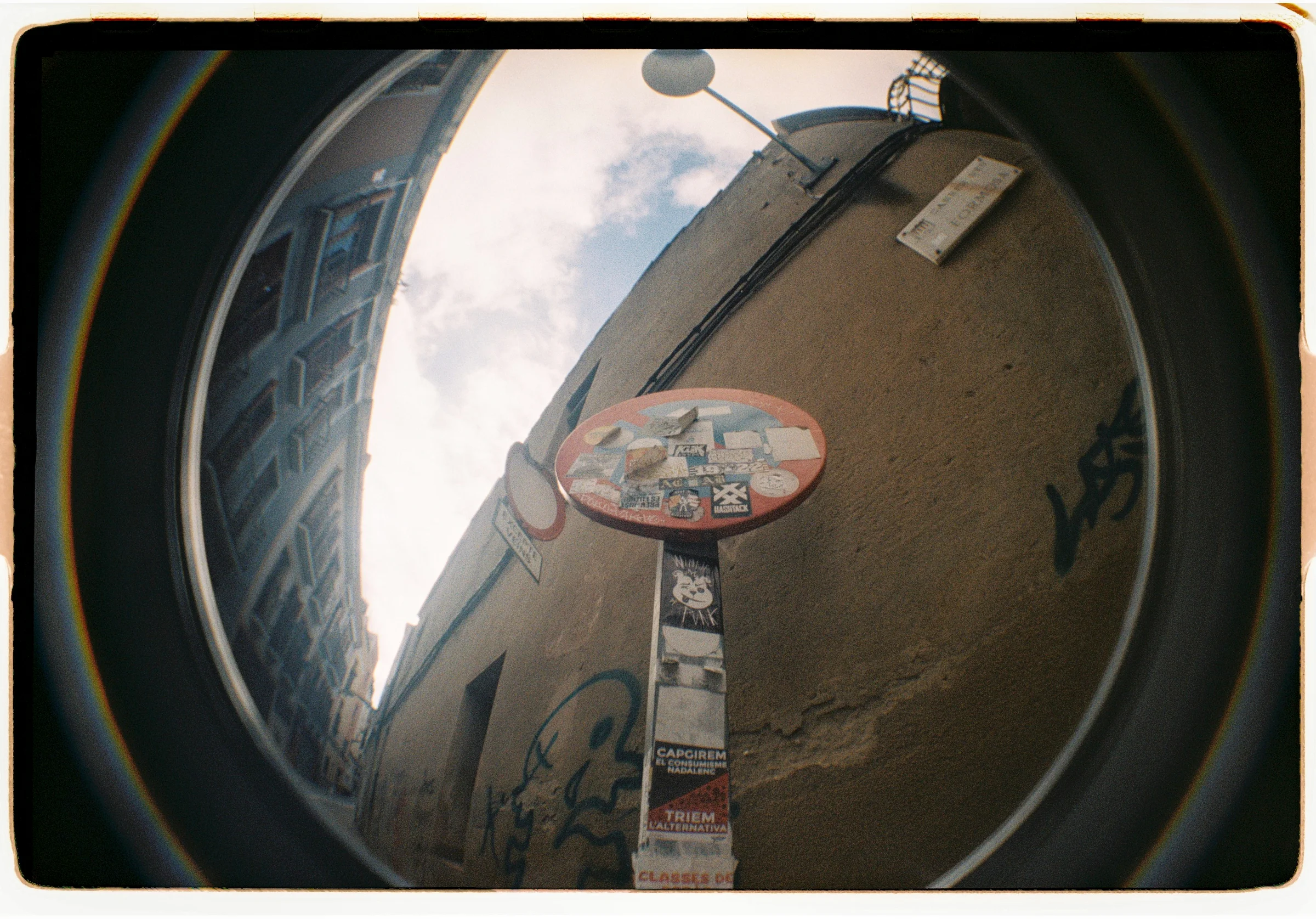 Roll Dump 7 — frame 3