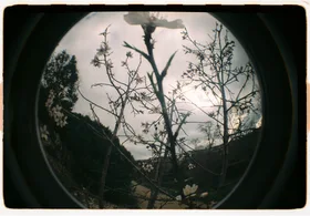 Frame 7
