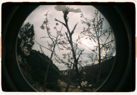 Frame 7
