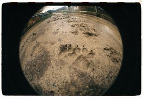 Frame 8