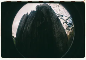Frame 11