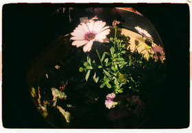 Frame 21