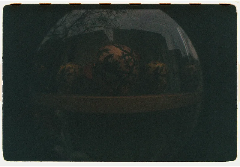Roll Dump 7 — frame 31
