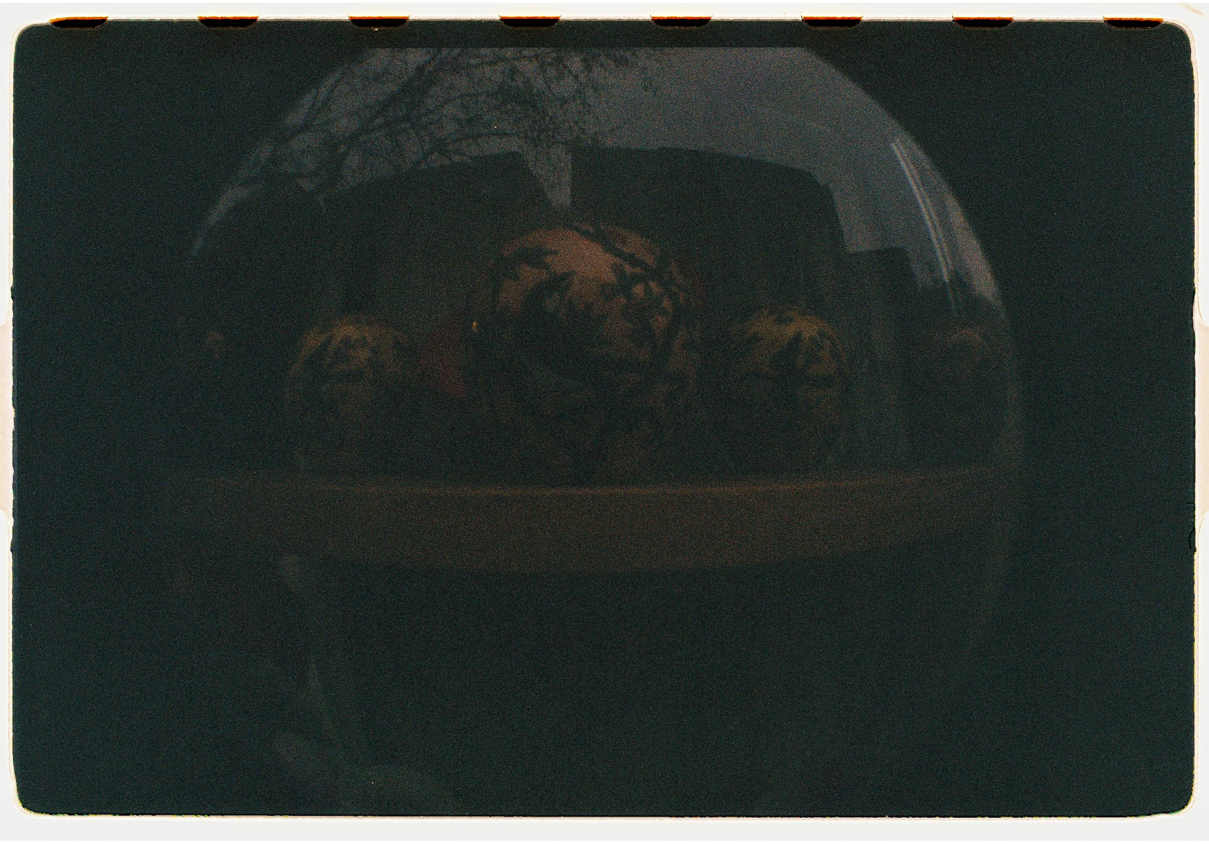 Roll Dump 7 — frame 31