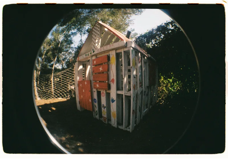 Roll Dump 8 — Lomography Fisheye No. 2 · Kodak Gold 200 (35mm)