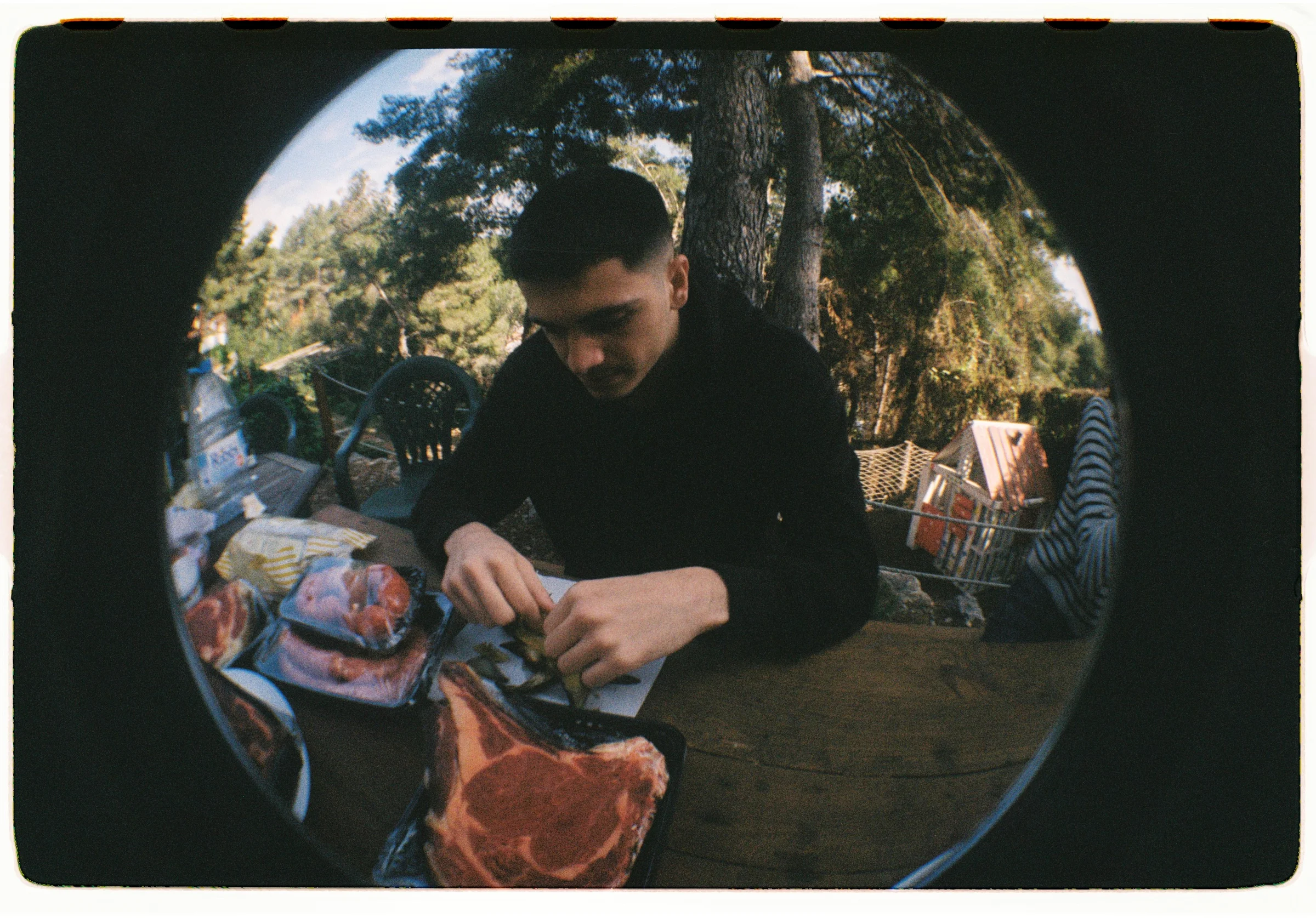 Roll Dump 8 — frame 8