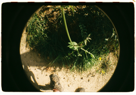 Frame 10