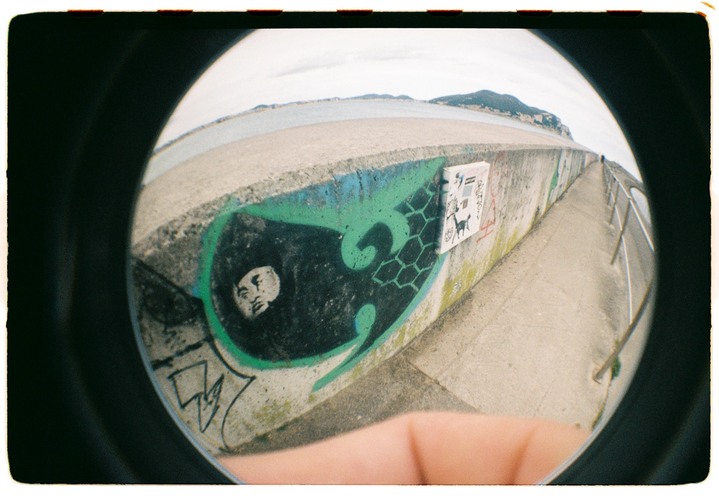 Frame 22