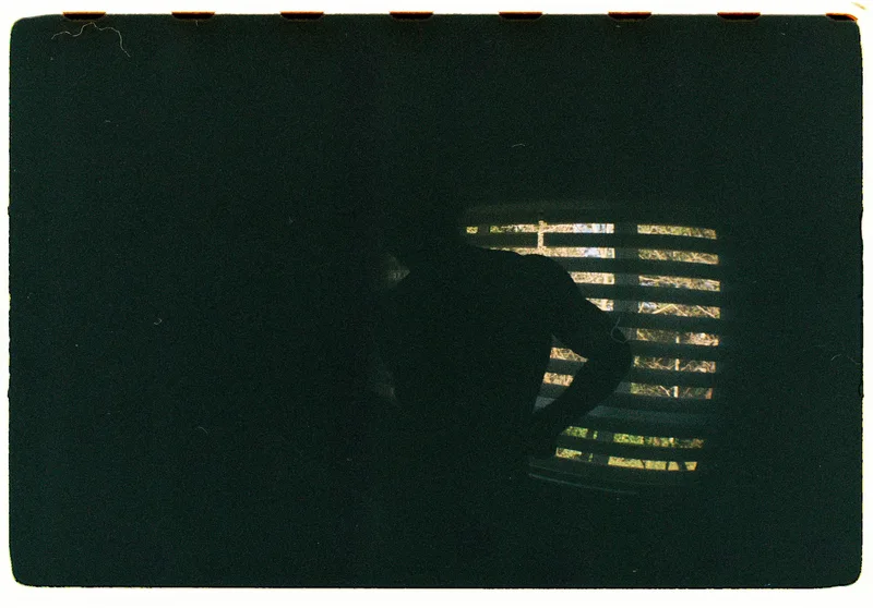 Roll Dump 8 — frame 30