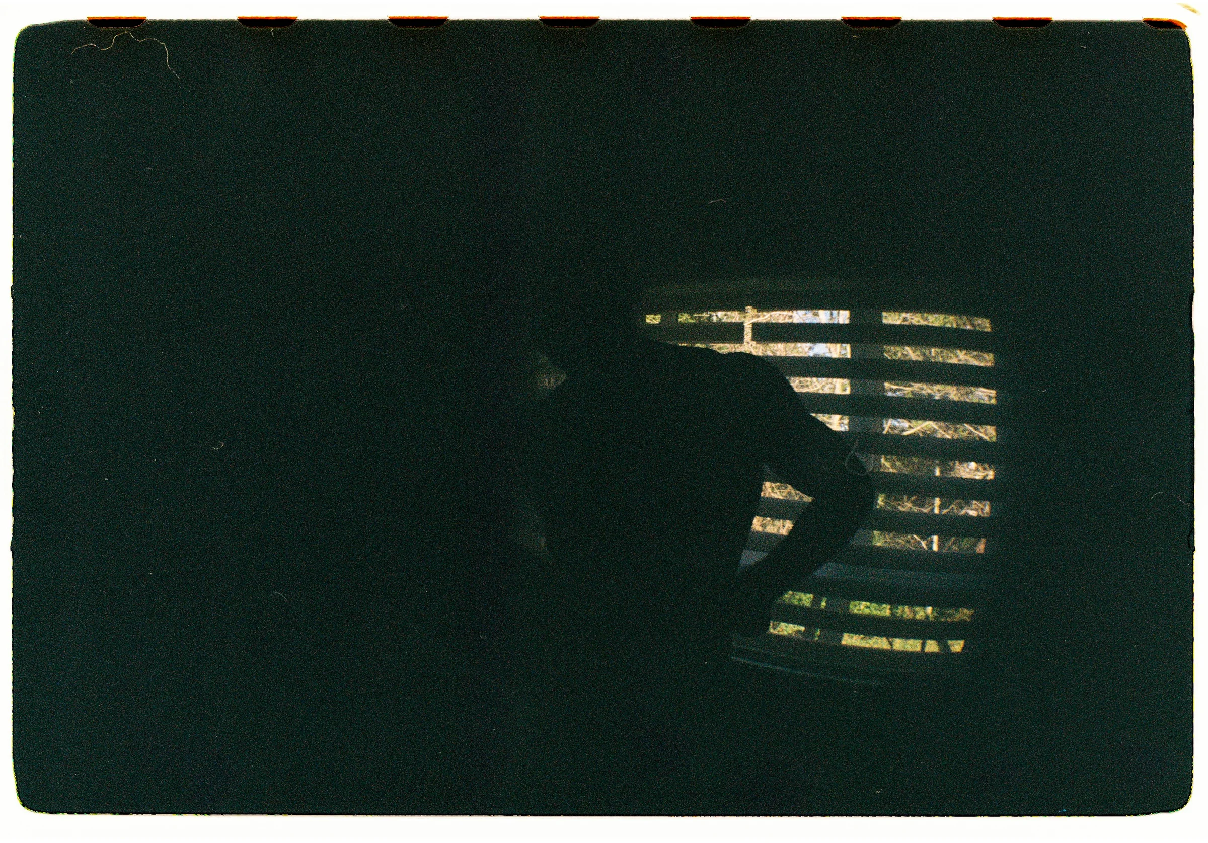 Roll Dump 8 — frame 30