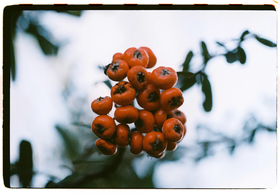 Frame 6