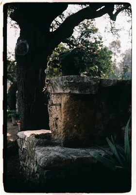 Frame 32